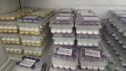 HMG 75 IU 6 HMG Kingsport Promote Follicular Development Peptides CAS 61489 71 2 Factory Direct Sales in Store 1